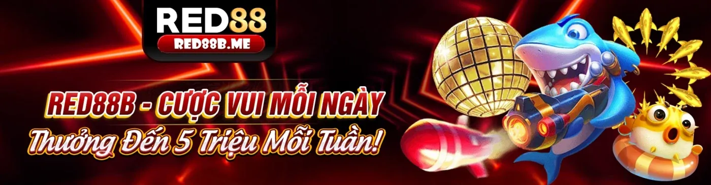 Hình ảnh chính về tin tức khuyến mãi 8qbet